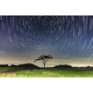[세이프쿱 벨라비타]  사진액자 성이시돌 나홀로나무